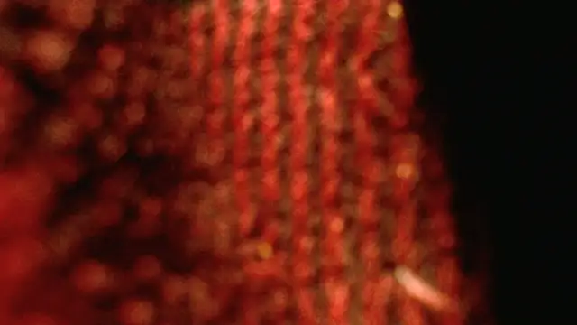 Snapshot of rockhead1971 chatting on 18, 10, 2025 rockhead1971 online show from 18, 10, 2025