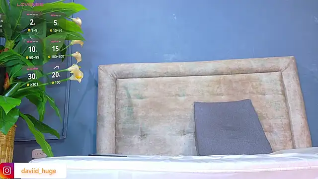 nicol snow online show from 12, 1, 2026