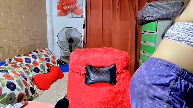 M e c e l online show from 16, 9, 2025