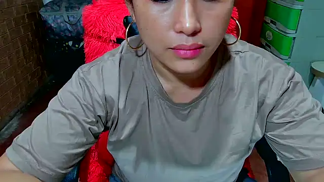 M e c e l online show from 31, 10, 2025