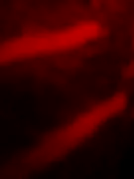 joliecu online show from 16, 5, 2026