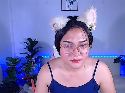 plysaithailand online show from 14, 11, 2025