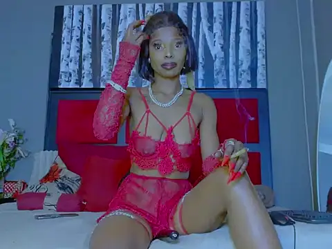 MissParis26 online show from 4, 10, 2025