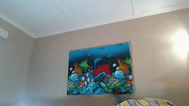 xykenrahxh online show from 17, 11, 2025