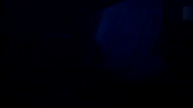 leccaleccafiga online show from 18, 12, 2025