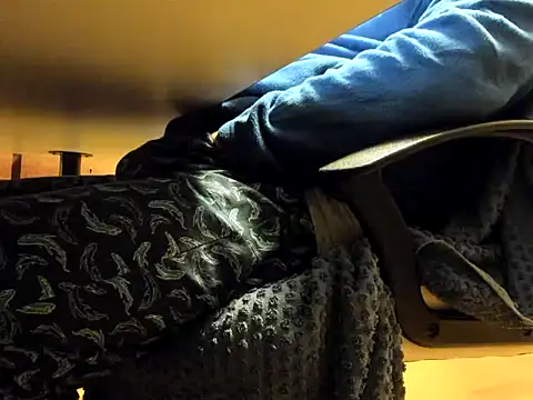 leccaleccafiga online show from 11, 11, 2025