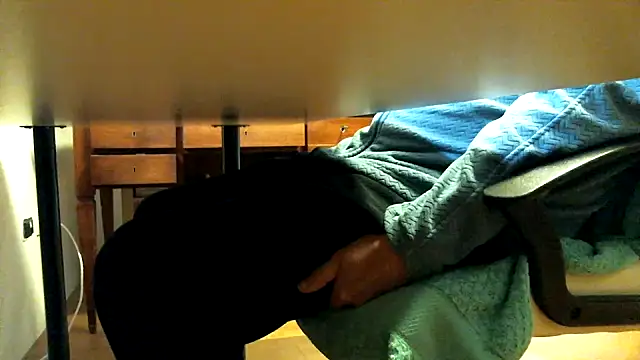 leccaleccafiga online show from 12, 4, 2026