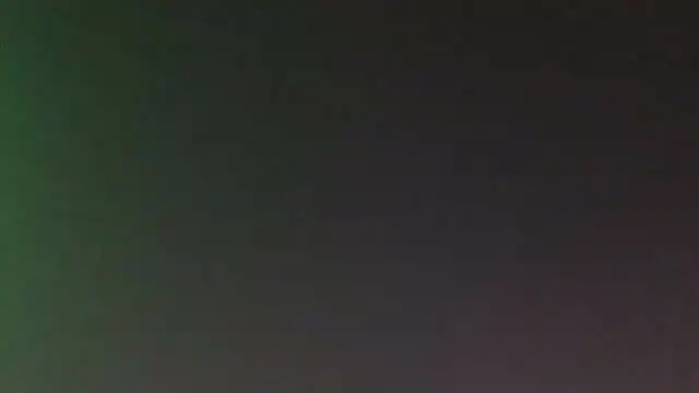 leccaleccafiga online show from 6, 3, 2026