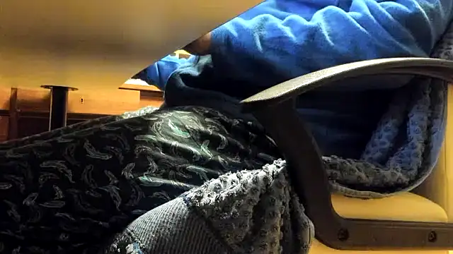 leccaleccafiga online show from 21, 11, 2025