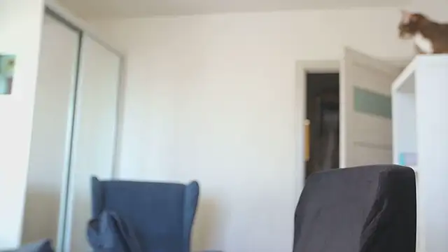 kevin-park online show from 14, 2, 2026