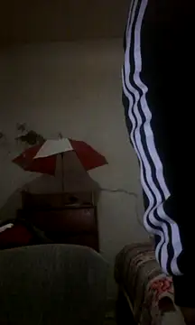 landy20cm online show from 1, 1, 2025