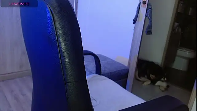 Meghan stonne  online show from 23, 2, 2026