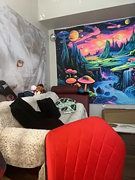 xdolltv online show from 19, 2, 2026