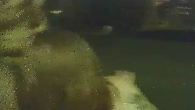 Profbadass69 online show from 27, 3, 2026