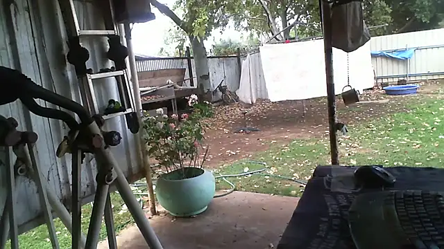 herbie010666 online show from 18, 10, 2025