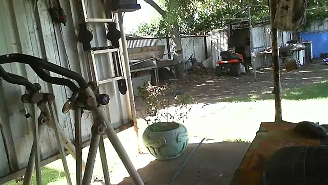 herbie010666 online show from 10, 3, 2025