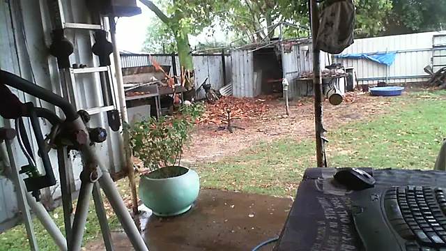 herbie010666 online show from 13, 11, 2025