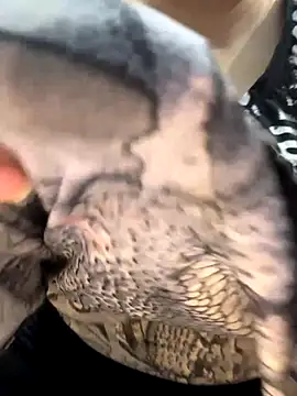 Preet Kaur 69 online show from 19, 12, 2025