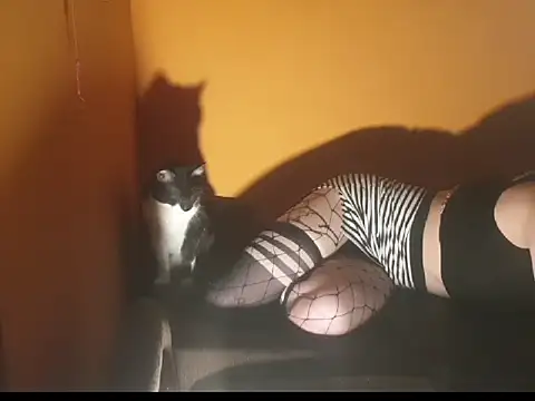 Lillisissi online show from 18, 3, 2025