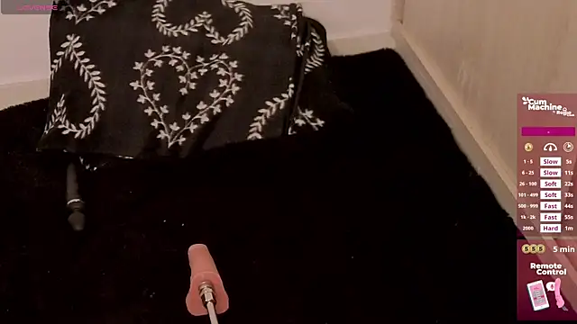 valery adams1 online show from 8, 4, 2026