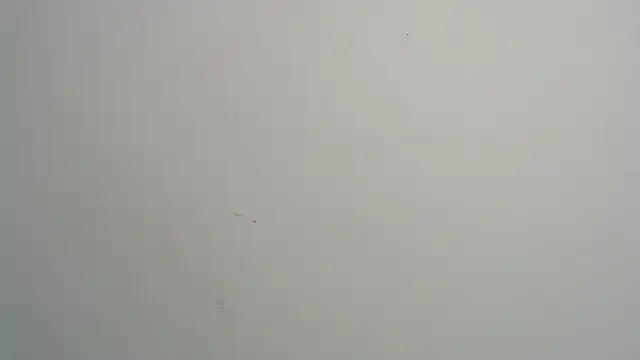 amy le01 online show from 28, 2, 2025