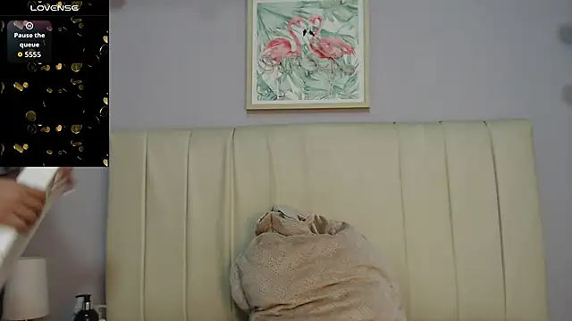 amy le01 online show from 4, 11, 2025