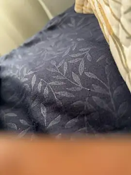 Snapshot of ROBOSTALLION chatting on 4, 4, 2026 ROBOSTALLION online show from 4, 4, 2026