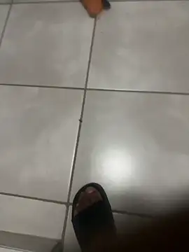 Snapshot of ROBOSTALLION chatting on 7, 4, 2026 ROBOSTALLION online show from 7, 4, 2026