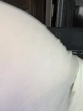 Zoya Varma004 online show from 10, 4, 2026