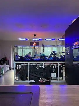 newMichelle online show from 16, 3, 2026