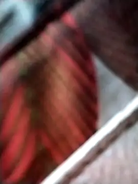 Keyla01  online show from 7, 11, 2025