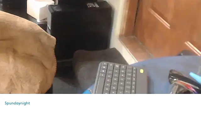 Spundaynightxh online show from 12, 2, 2025