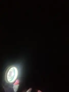 GHsveter online show from 19, 2, 2026