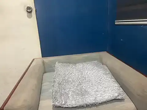 asian-doll online show from 2, 10, 2025