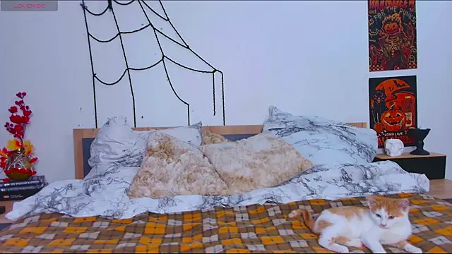  whiteprincess online show from 22, 10, 2025