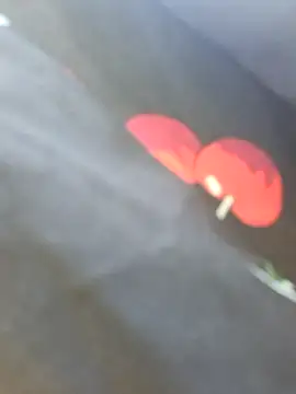 NansyyyaLiannkkaasssssa78 online show from 11, 9, 2025