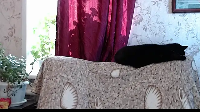 EmilyDoth online show from 5, 4, 2026