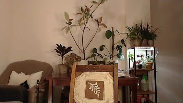 Herman Elfi online show from 13, 3, 2025