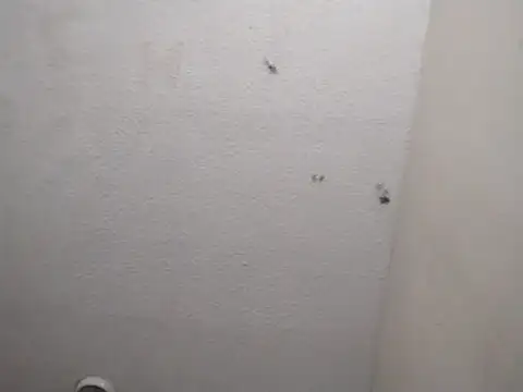 247Srokin online show from 13, 3, 2026