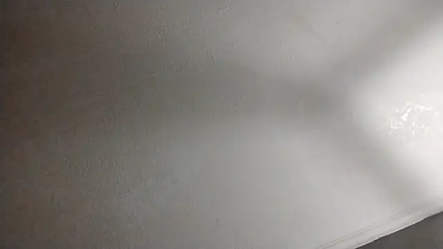 247Srokin online show from 10, 10, 2025