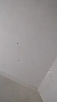 247Srokin online show from 25, 10, 2025