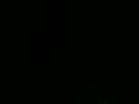 Sexyrkv91 online show from 19, 1, 2025