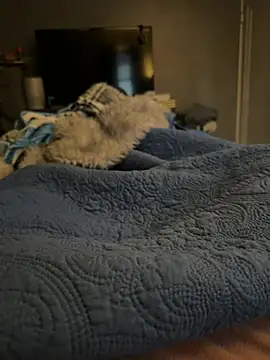 DAJ4002 online show from 17, 1, 2026