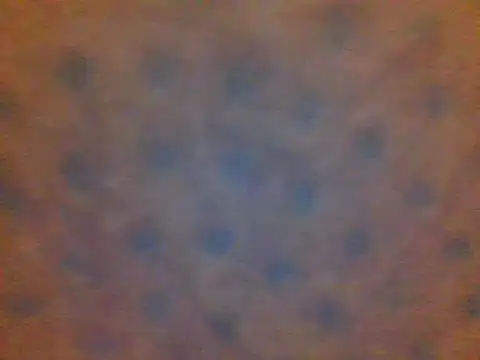 xsexy on91 online show from 13, 2, 2025