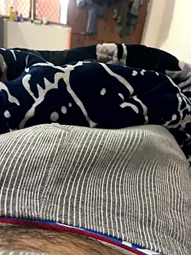 Bareilly Boy1 online show from 15, 1, 2026