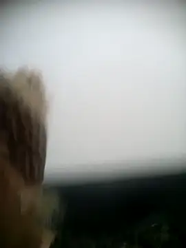 shaynarg online show from 6, 3, 2025