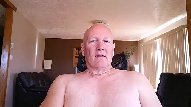 BasicAnt online show from 15, 5, 2026