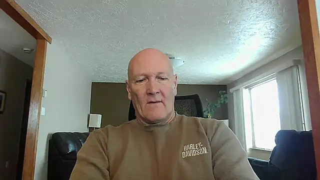 BasicAnt online show from 28, 11, 2025