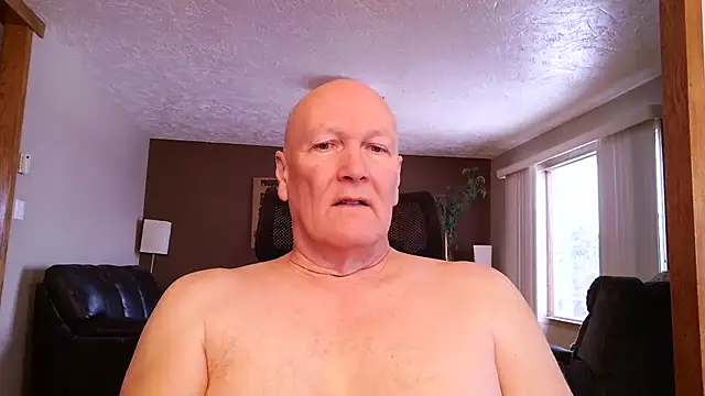 BasicAnt online show from 17, 3, 2026