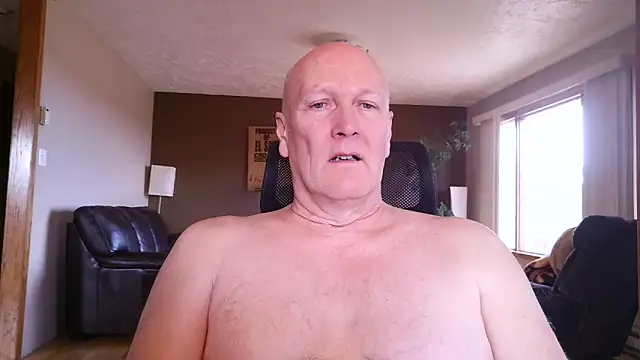 BasicAnt online show from 8, 3, 2026